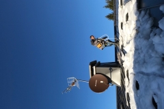 WFH MEGEVE